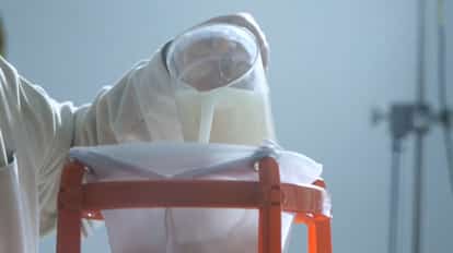 Curdled mix being strained through a Cheese Cloth and a Coffee Filter.