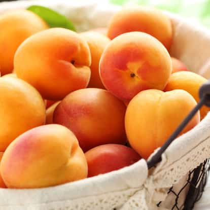 Apricot in a fabric-lined wire basket