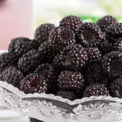 black raspberry liqueur