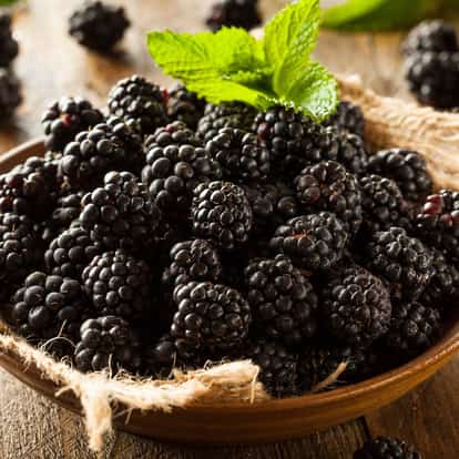 blackberry brandy