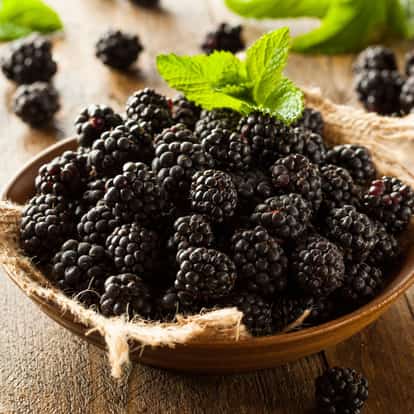 Blackberries piled in a wooden bowl with a mint sprig on a wooden surface