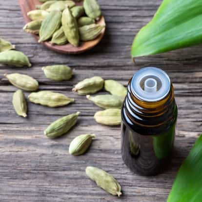 Cardamom bitters in an open bottle with a plastic reducer insert and cardamom pods on a wooden surface