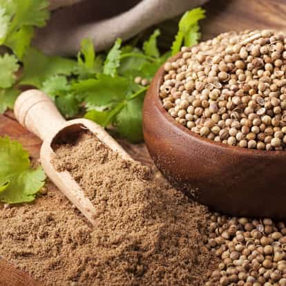 Coriander powder in a wooden scoop with whole coriander seeds in a wooden bowl on a wooden board