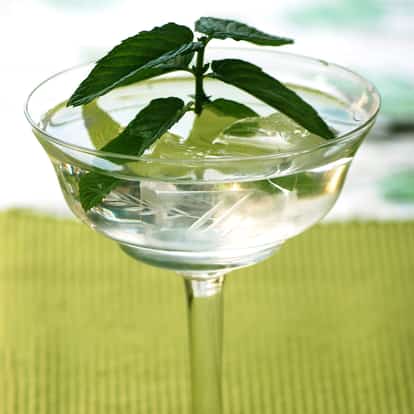 creme de menthe white