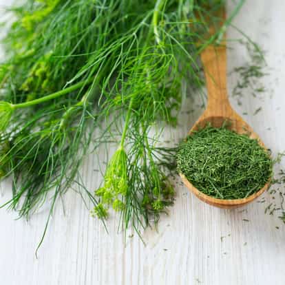 Dill bunch with dried dill in a wooden spoon on wooden surface