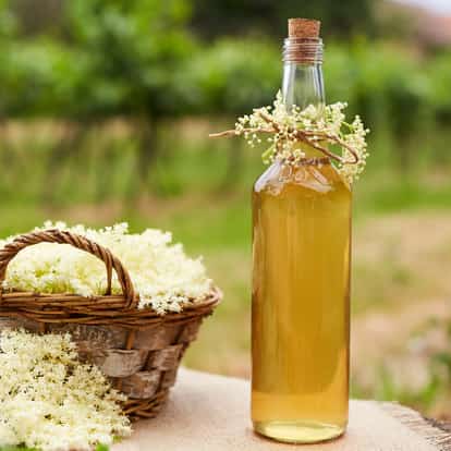 Elderflower liqueur in a glass bottle with cork and elderflower sprig beside a basket of elderflowers