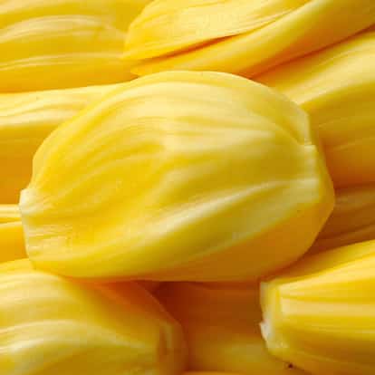 Jackfruit pods close-up