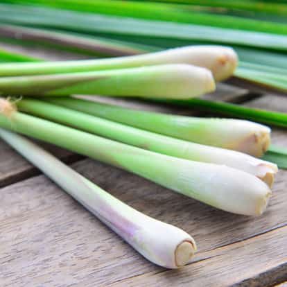 Lemongrass stalks on a wooden board
