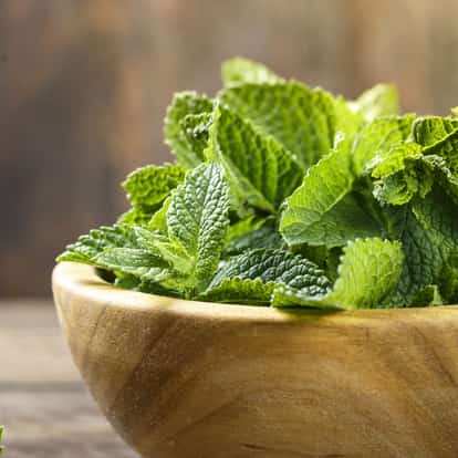 mint leaf