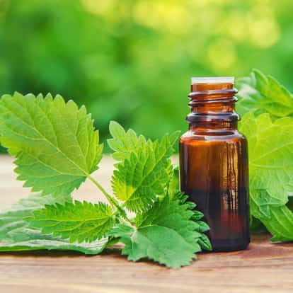 Nettle cordial in a small amber bottle with nettle leaves on a wooden surface