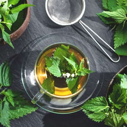 Nettle tea in a glass cup with nettle leaves on a slate surface