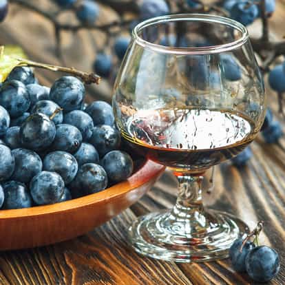 plymouth sloe gin