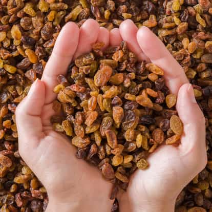 Cupped hands holding a handful of Raisin on a bed of dried fruit.