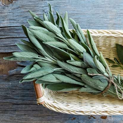 Sage bundle tied with twine in a wicker basket on a wooden surface
