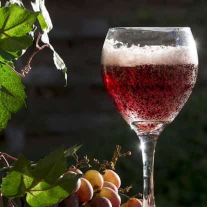 Sparkling Concord Grape Juice in a wine glass with a grape cluster and vine leaves on a dark background