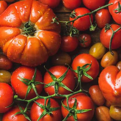 tomato
