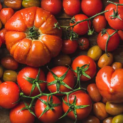 Tomatoes on vine and loose tomatoes with water droplets on wooden surface