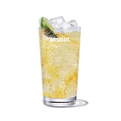 apple ginger rickey