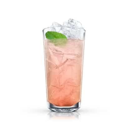 Epic in a highball glass with crushed ice and a mint leaf on white background