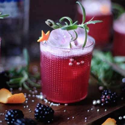 holidayberry bramble