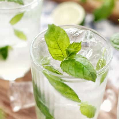 Classic Mojito ccocktail made with Light Rum and plenty of fresh mint leaves.