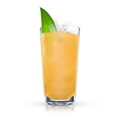 tropical fruit punch