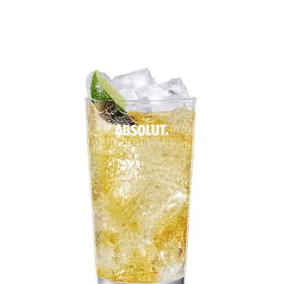 vodka ginger ale
