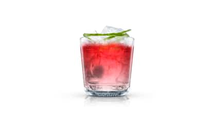 absolut black cran attraction