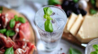 Absolut Citron with Tonic in a highball glass with ice and a basil leaf on a table with charcuterie and cheese
