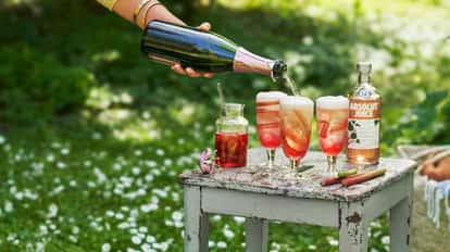 absolut juice rhubarb spritz