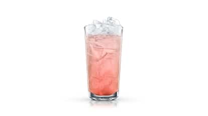 absolut pomegranate fizz