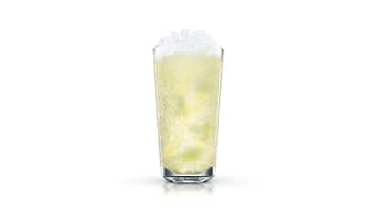 absolut sun seeker