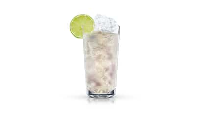 blueberry and ginger fizz