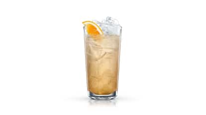colonel collins