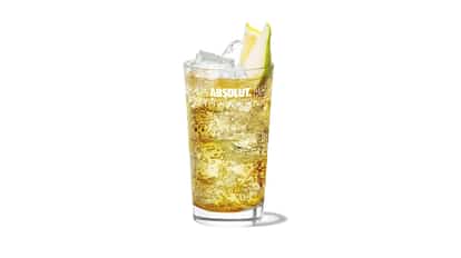 dandy shandy