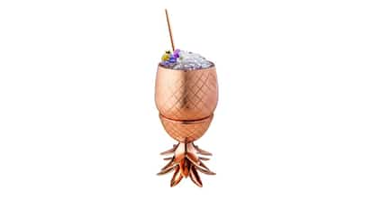 elyx raspberry beret
