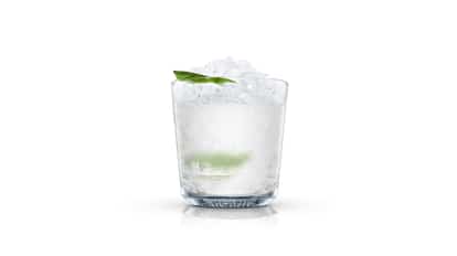 gin julep