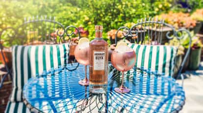 the elyx spritz