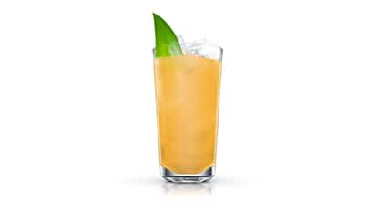 tropical fruit punch